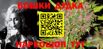 гашик Кандалакша