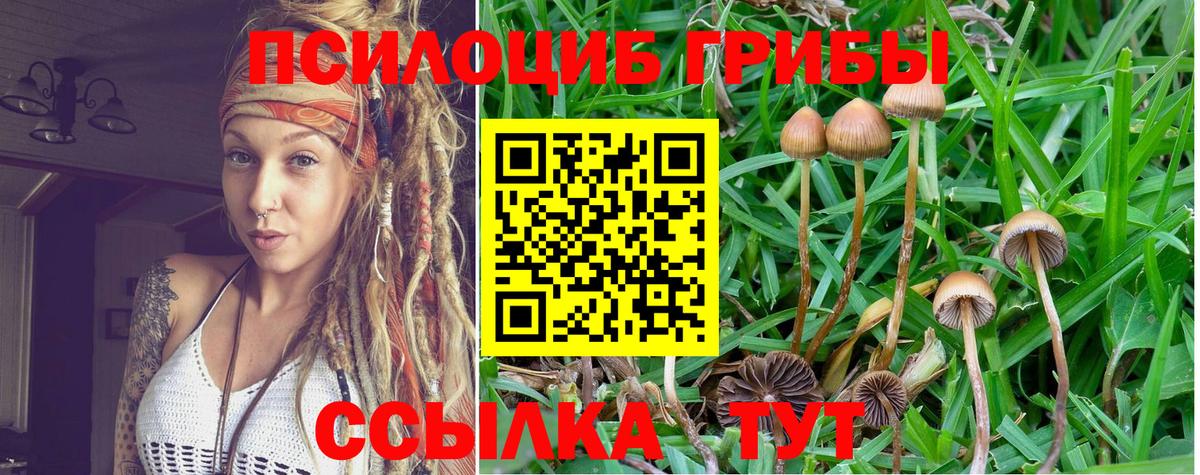 Галлюциногенные грибы мухоморы Ханты-Мансийск
